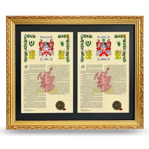 Double Armorial History Framed - Gold