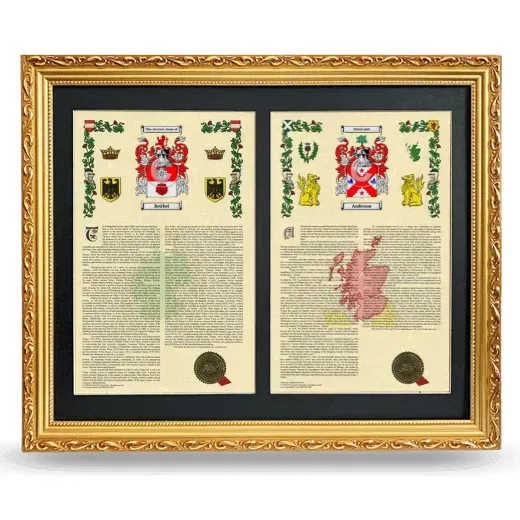 Double Armorial History Framed - Gold