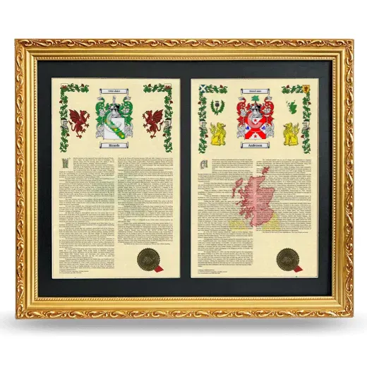 Double Armorial History Framed - Gold
