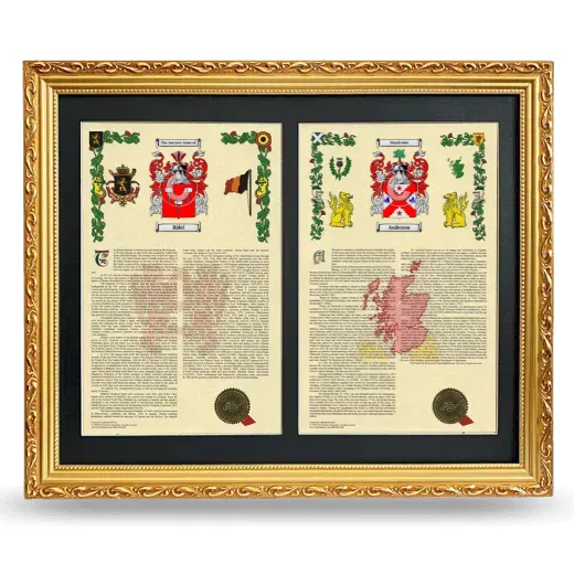 Double Armorial History Framed - Gold