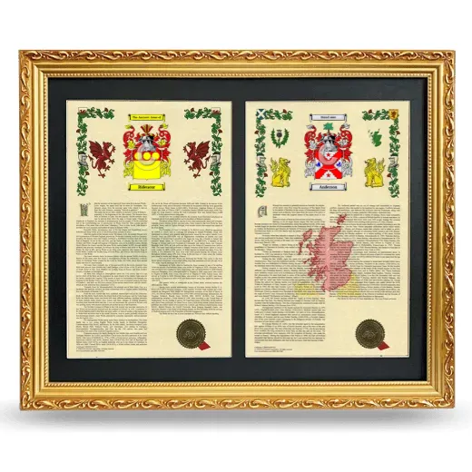 Double Armorial History Framed - Gold
