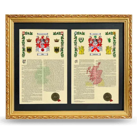Double Armorial History Framed - Gold