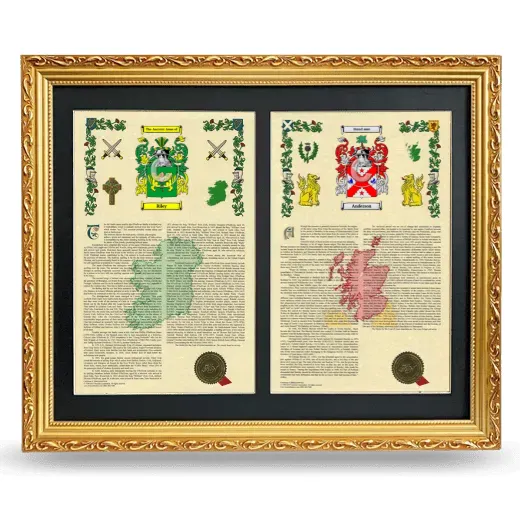 Double Armorial History Framed - Gold