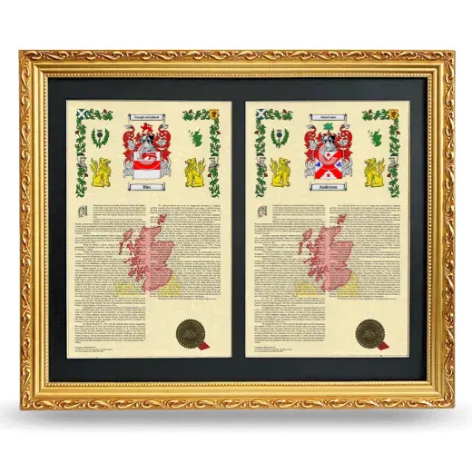 Double Armorial History Framed - Gold