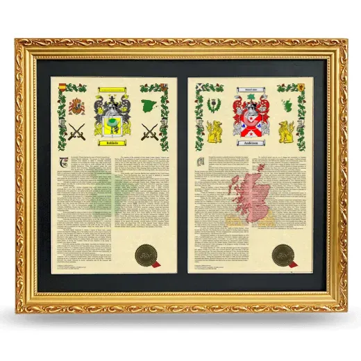 Double Armorial History Framed - Gold
