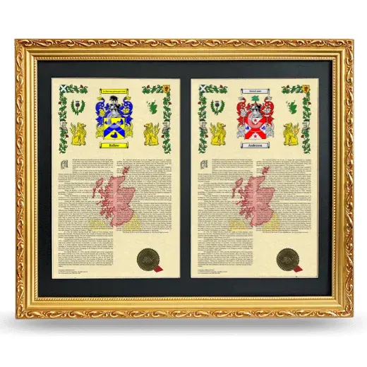 Double Armorial History Framed - Gold