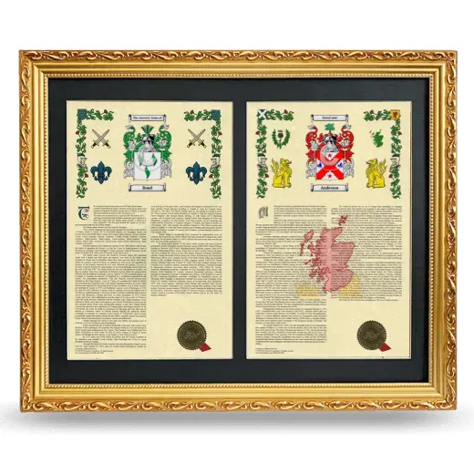 Double Armorial History Framed - Gold