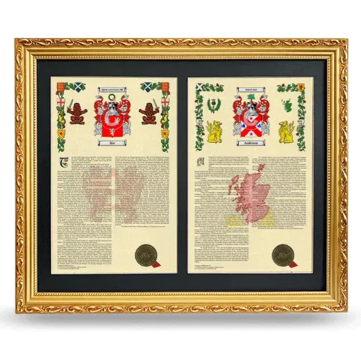 Double Armorial History Framed - Gold