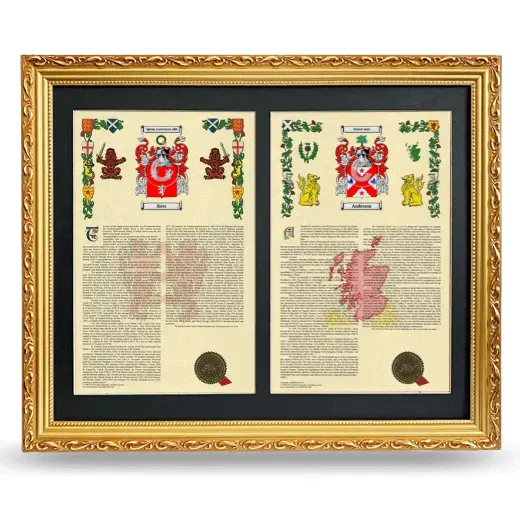 Double Armorial History Framed - Gold