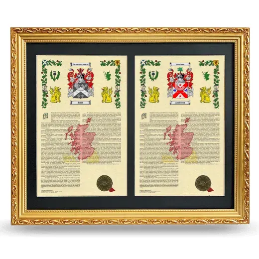 Double Armorial History Framed - Gold