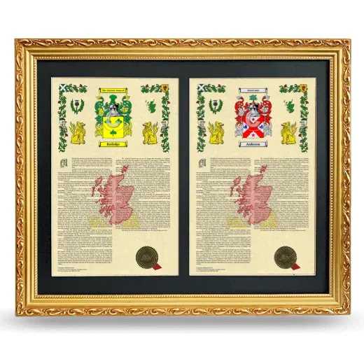 Double Armorial History Framed - Gold