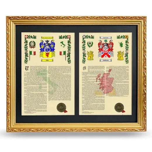 Double Armorial History Framed - Gold