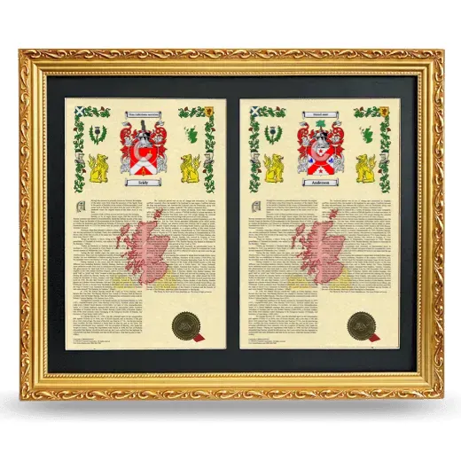 Double Armorial History Framed - Gold