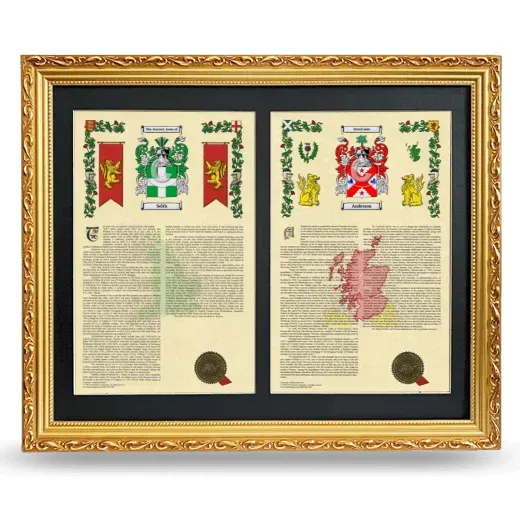 Double Armorial History Framed - Gold