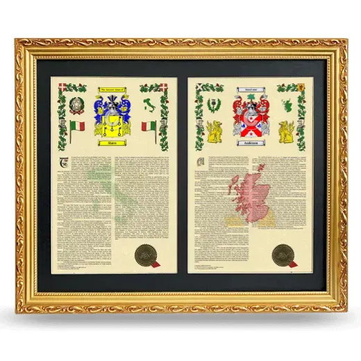Double Armorial History Framed - Gold
