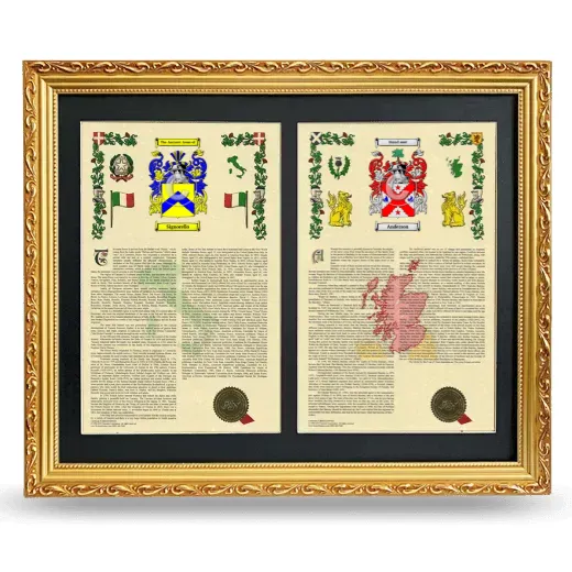 Double Armorial History Framed - Gold