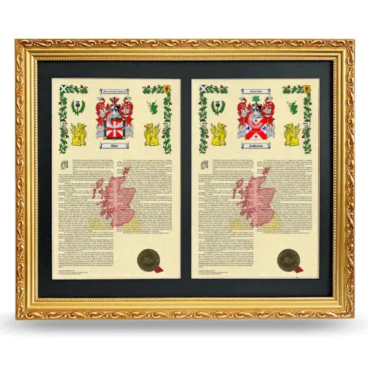 Double Armorial History Framed - Gold