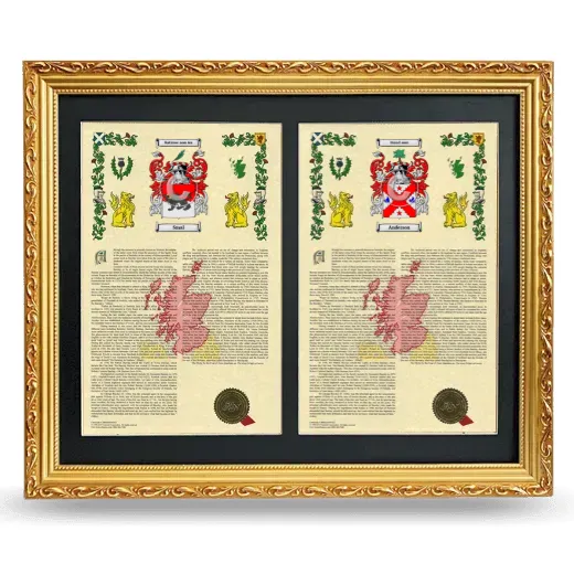 Double Armorial History Framed - Gold