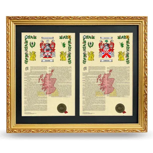 Double Armorial History Framed - Gold