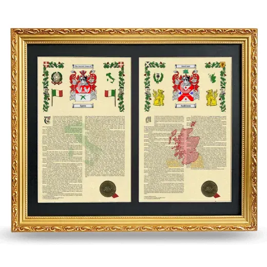 Double Armorial History Framed - Gold