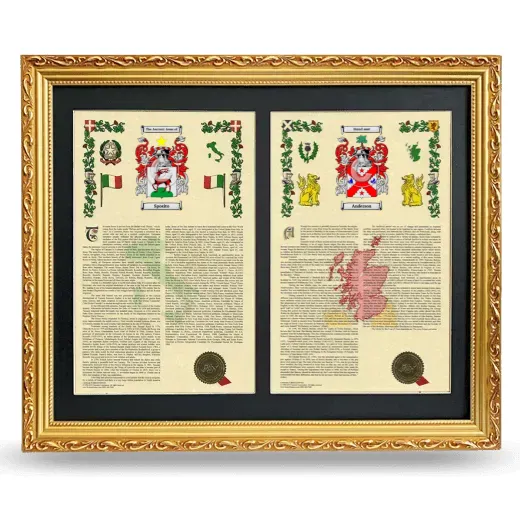Double Armorial History Framed - Gold