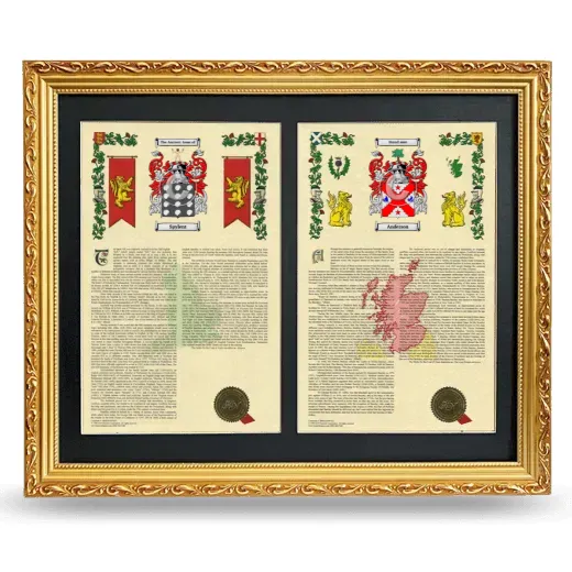 Double Armorial History Framed - Gold