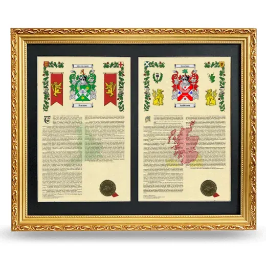 Double Armorial History Framed - Gold