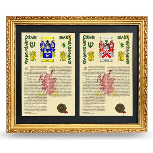 Double Armorial History Framed - Gold