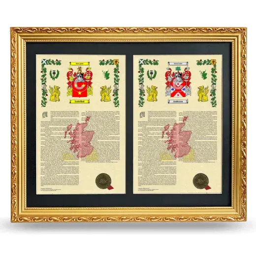 Double Armorial History Framed - Gold