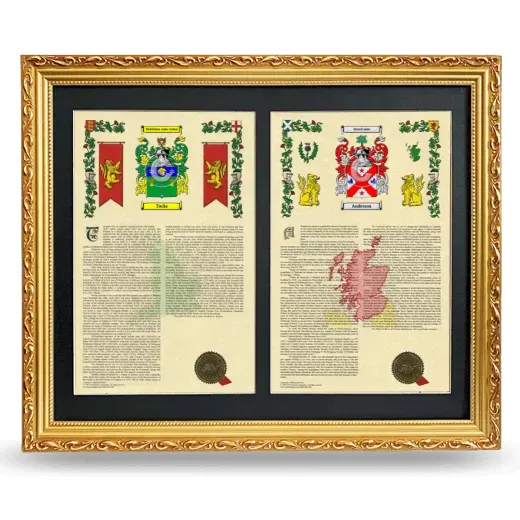 Double Armorial History Framed - Gold