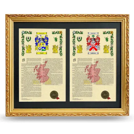 Double Armorial History Framed - Gold