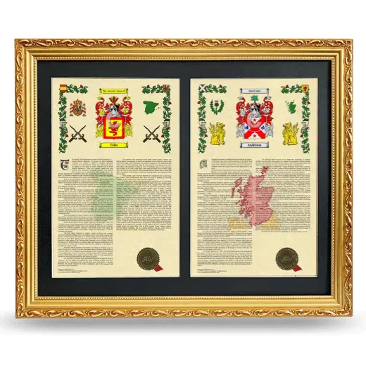 Double Armorial History Framed - Gold