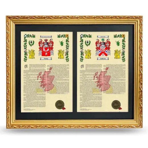 Double Armorial History Framed - Gold