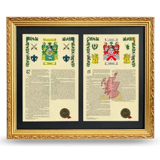 Double Armorial History Framed - Gold