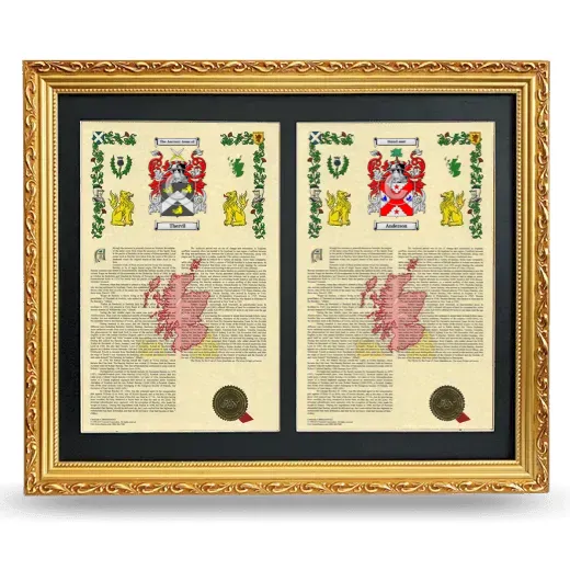 Double Armorial History Framed - Gold