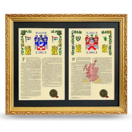 Double Armorial History Framed - Gold