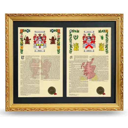 Double Armorial History Framed - Gold