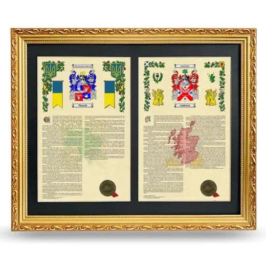 Double Armorial History Framed - Gold