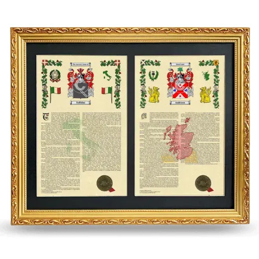 Double Armorial History Framed - Gold