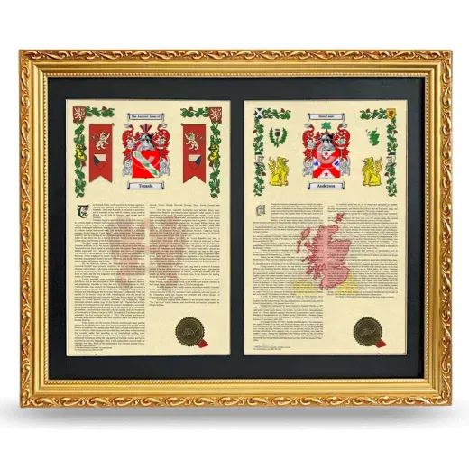 Double Armorial History Framed - Gold