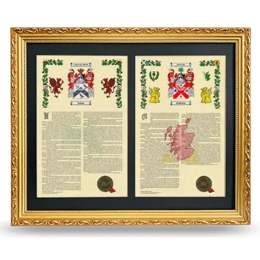 Double Armorial History Framed - Gold