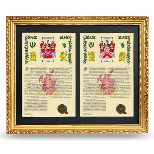 Double Armorial History Framed - Gold