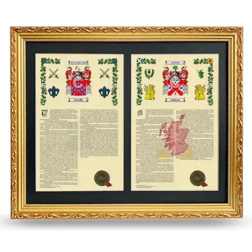 Double Armorial History Framed - Gold