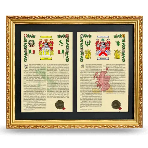 Double Armorial History Framed - Gold