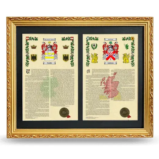 Double Armorial History Framed - Gold