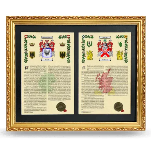 Double Armorial History Framed - Gold