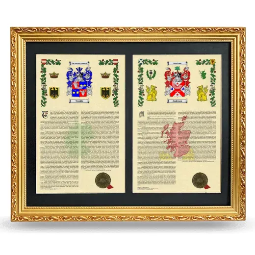 Double Armorial History Framed - Gold