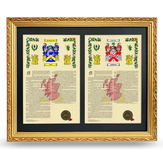Double Armorial History Framed - Gold