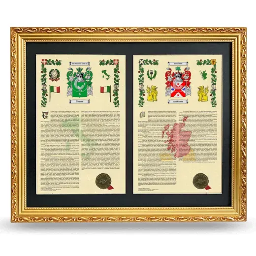 Double Armorial History Framed - Gold