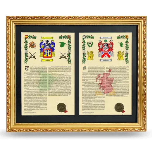 Double Armorial History Framed - Gold
